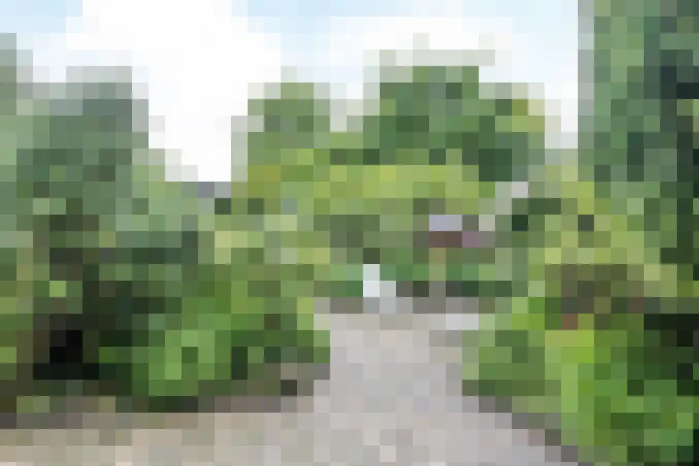 Burg. de Hesselleplein 29 Heerlen thumbnail 36