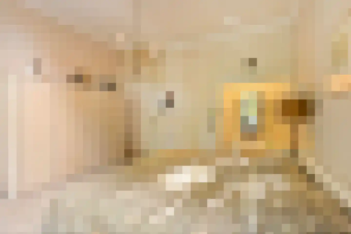 Burg. de Hesselleplein 7 Heerlen thumbnail 13