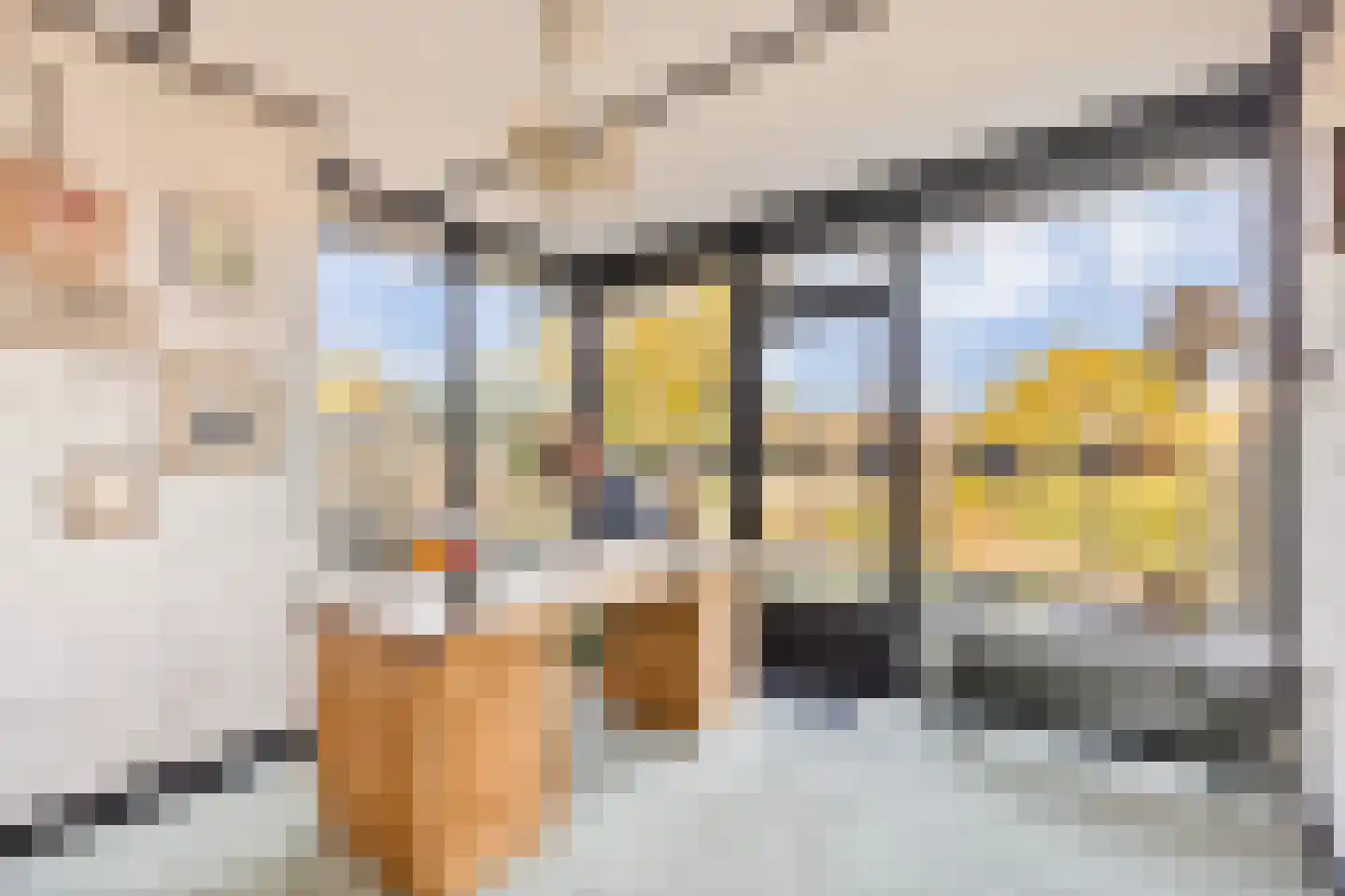 Burg. de Hesselleplein 7 Heerlen thumbnail 19