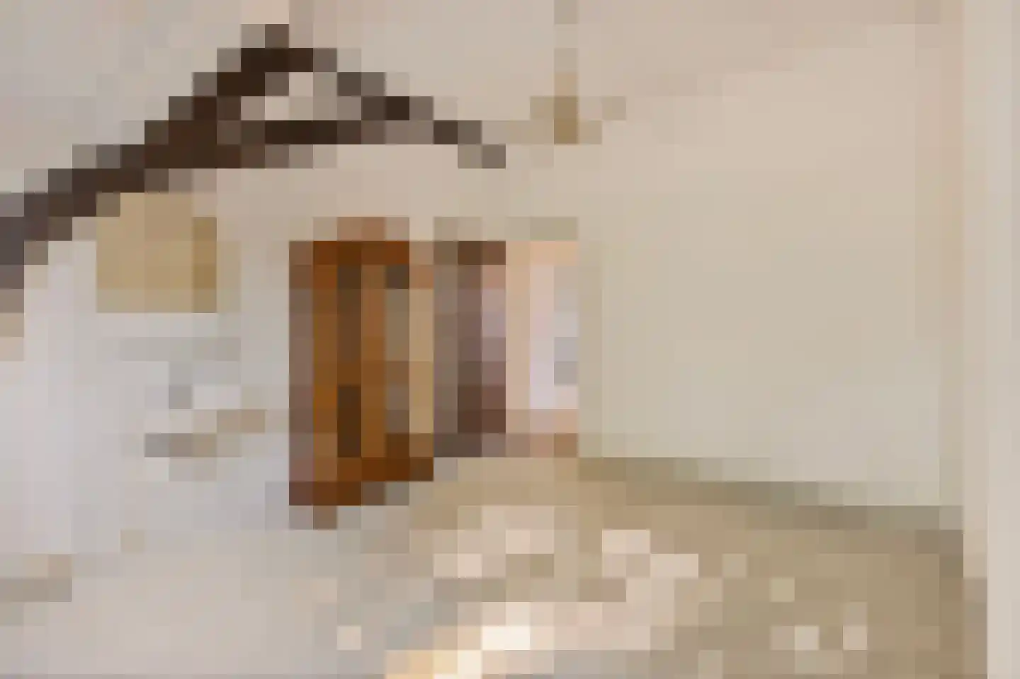 Burg. de Hesselleplein 7 Heerlen thumbnail 26