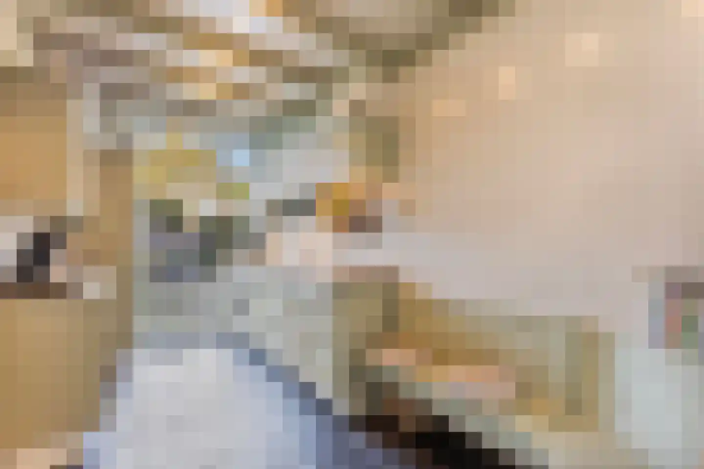 Burg. de Hesselleplein 7 Heerlen thumbnail 9