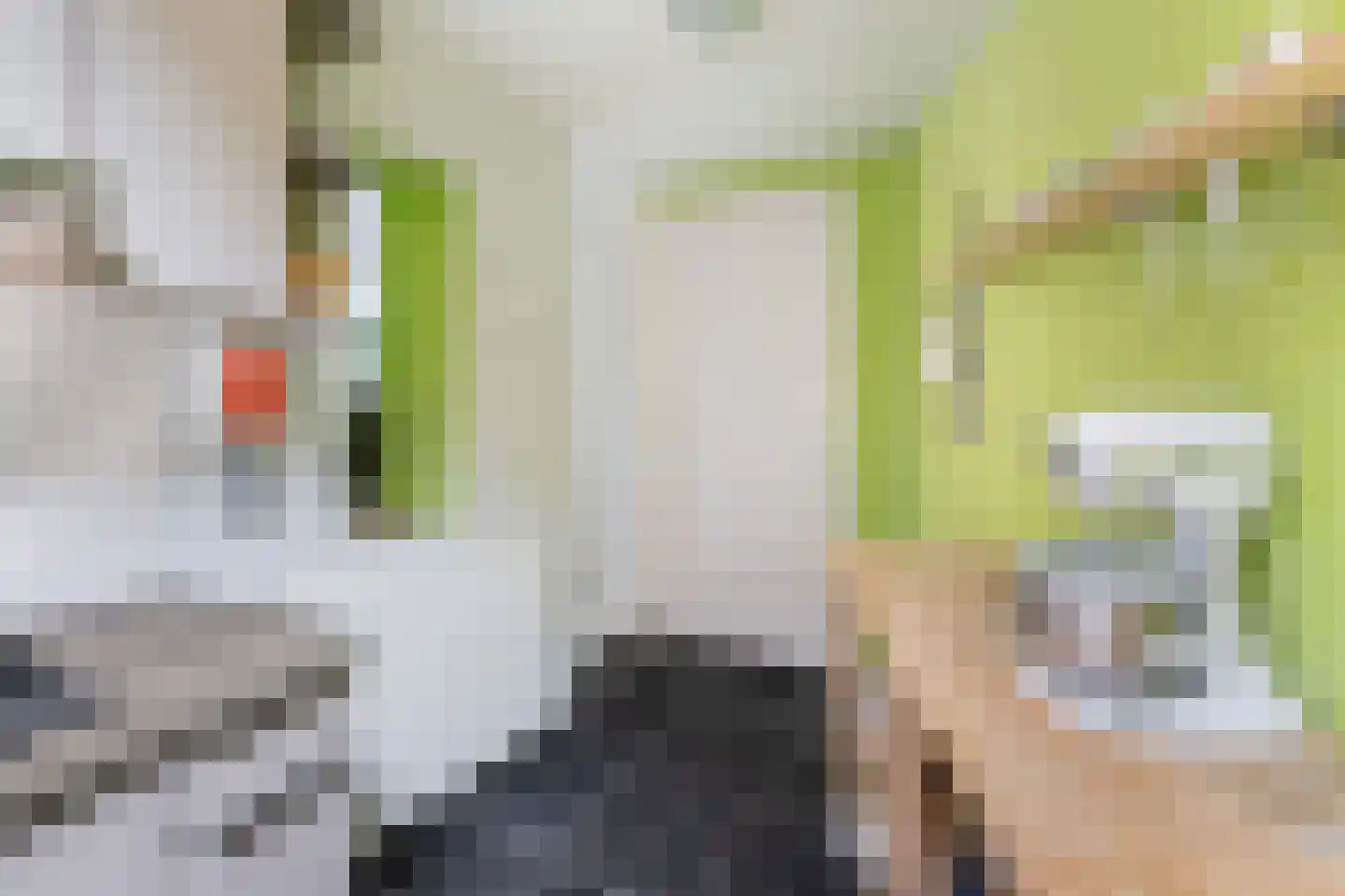 Burg. De Jonghkade 13 Maassluis thumbnail 11
