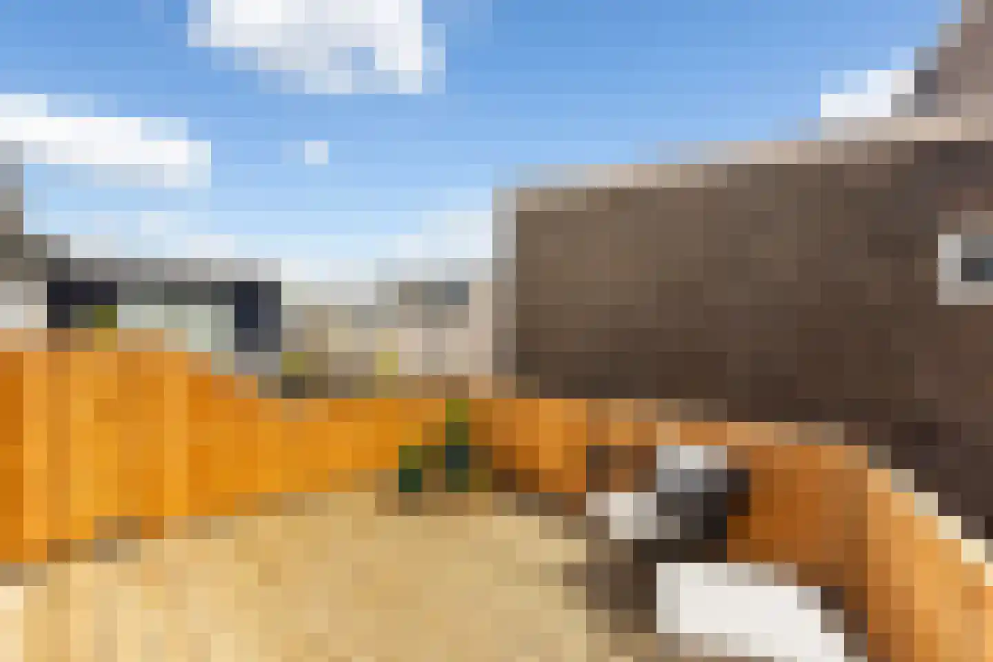 Burg. De Jonghkade 17 Maassluis thumbnail 4