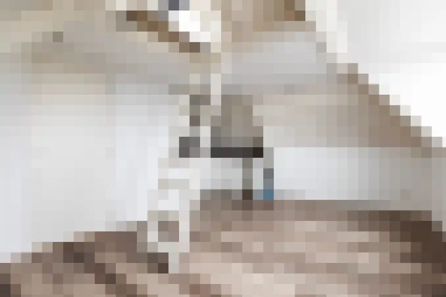 Burg. De Jonghkade 9 Maassluis thumbnail 12