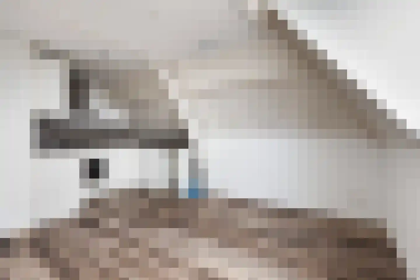 Burg. De Jonghkade 9 Maassluis thumbnail 13