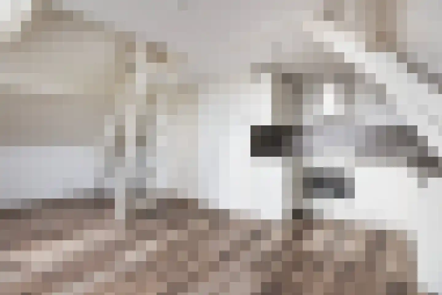 Burg. De Jonghkade 9 Maassluis thumbnail 14
