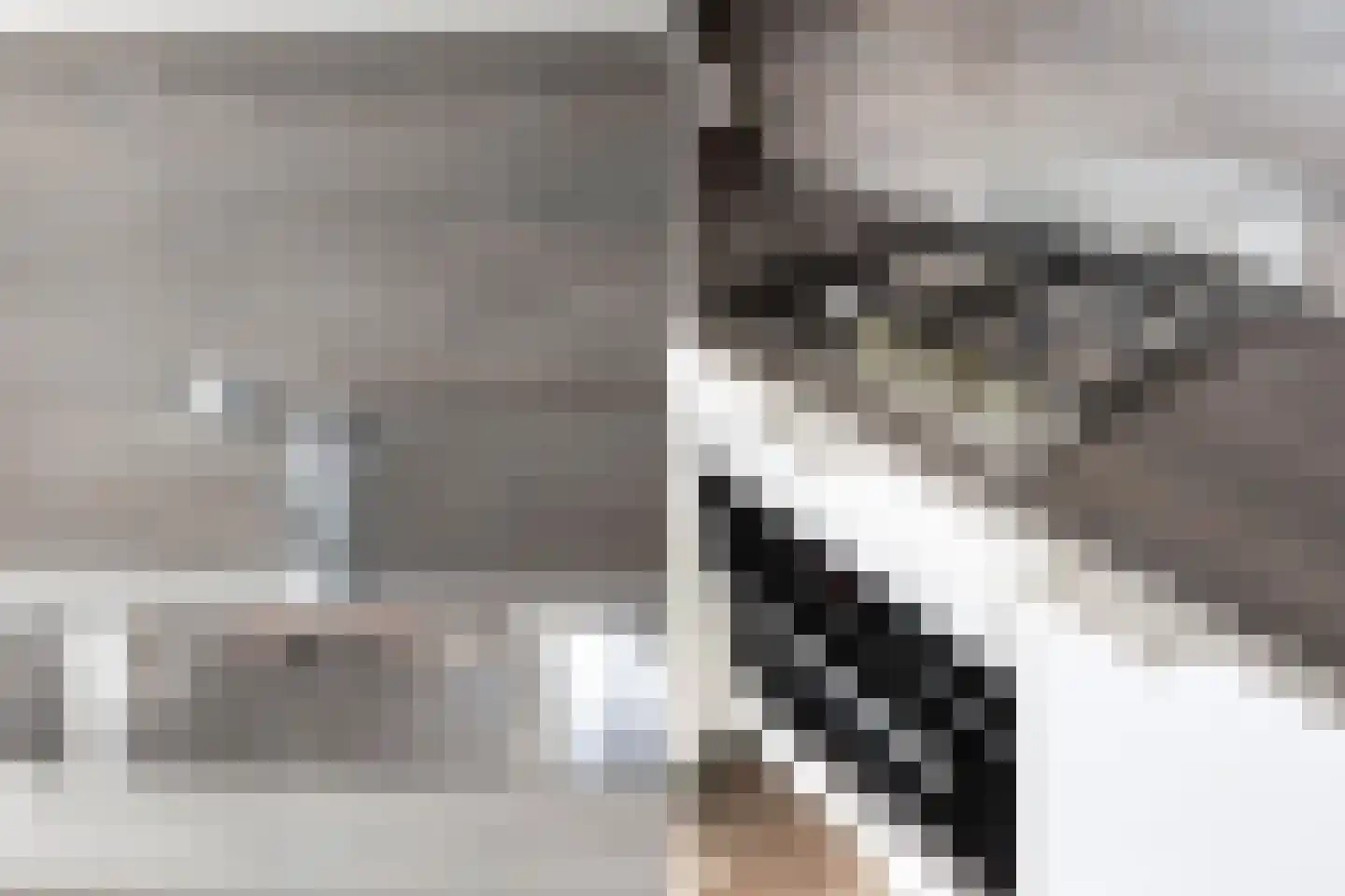 Burg. De Jonghkade 9 Maassluis thumbnail 16