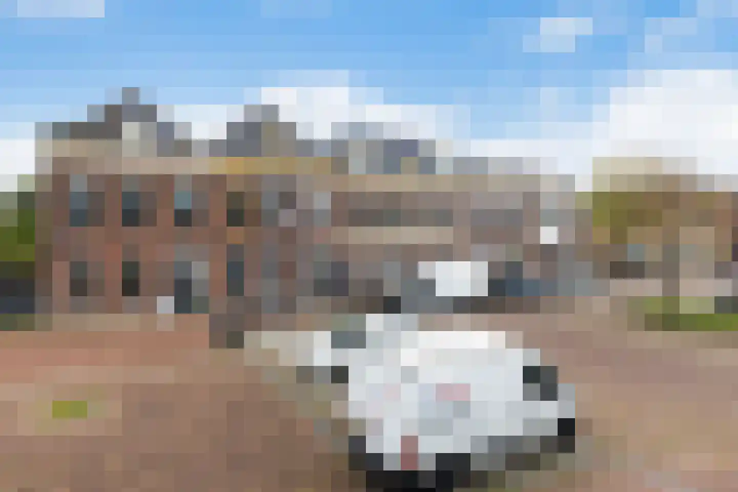 Burg. De Jonghkade 9 Maassluis thumbnail 26