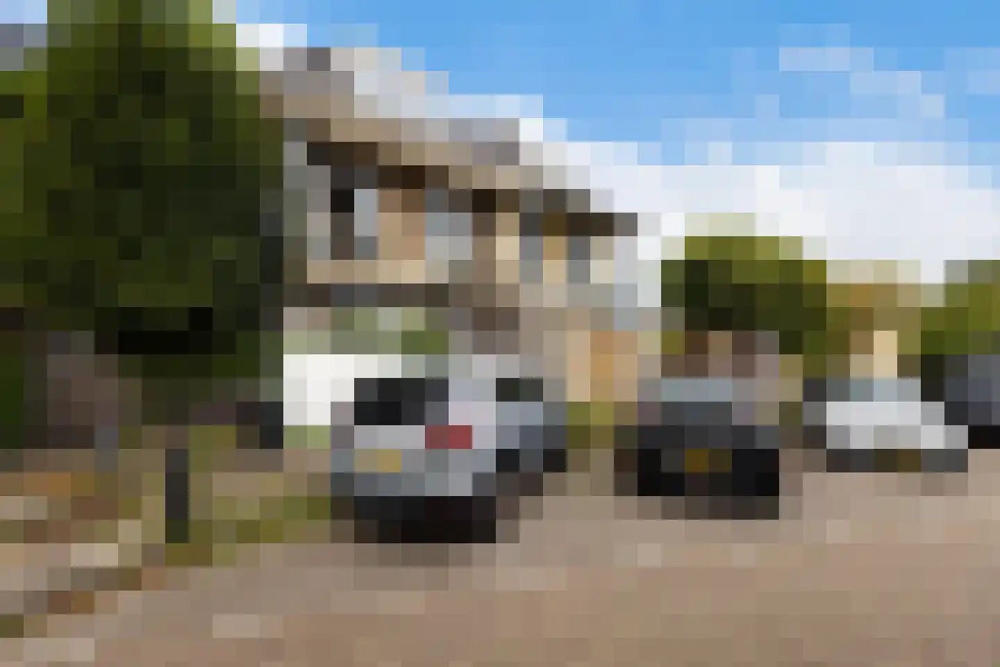 Burg. De Jonghkade 9 Maassluis thumbnail 29