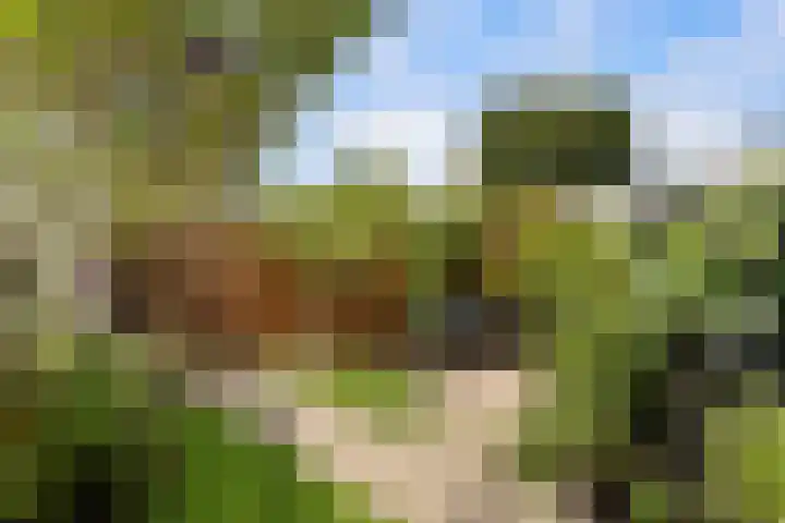 Burg.de Jongplein 33 Mijnsheerenland thumbnail 15