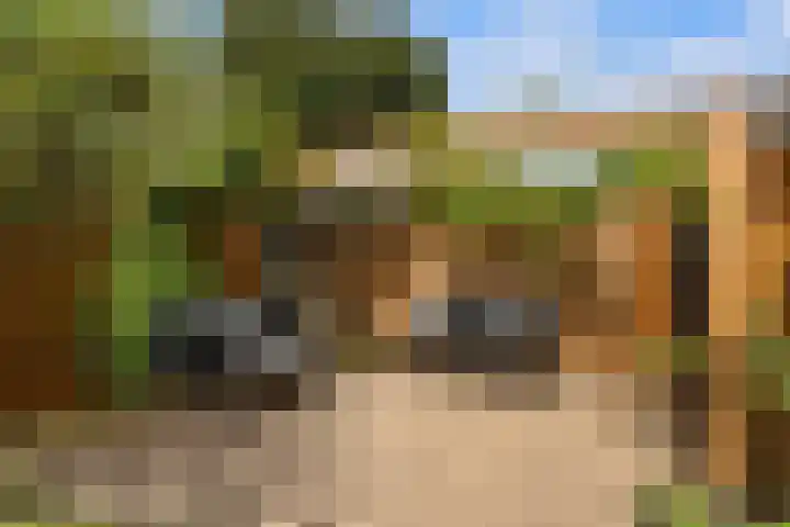 Burg.de Jongplein 33 Mijnsheerenland thumbnail 16