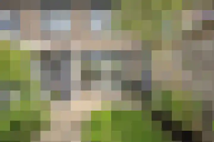 Burg.de Jongplein 33 Mijnsheerenland thumbnail 18