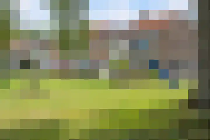 Burg.de Jongplein 33 Mijnsheerenland thumbnail 34