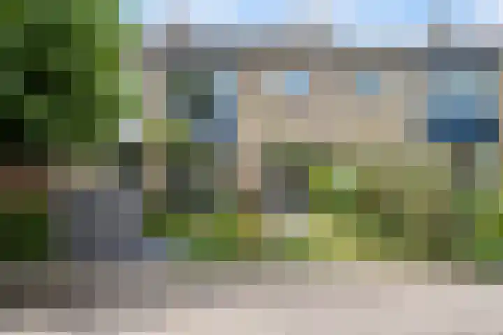 Burg.de Jongplein 33 Mijnsheerenland thumbnail 4
