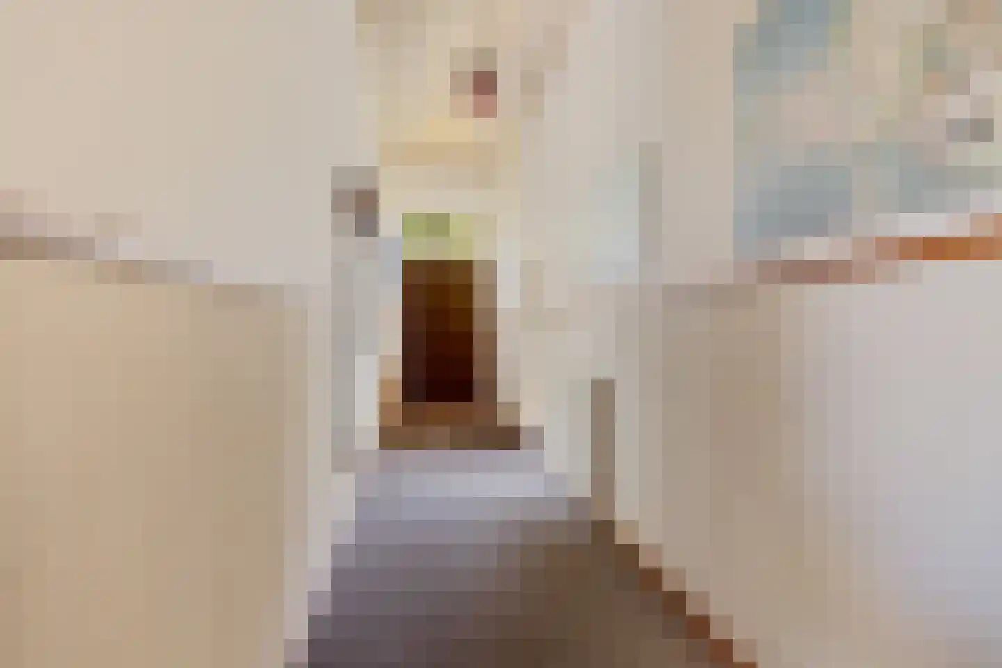 Burg de Kockstraat 15 Oosterhesselen thumbnail 12
