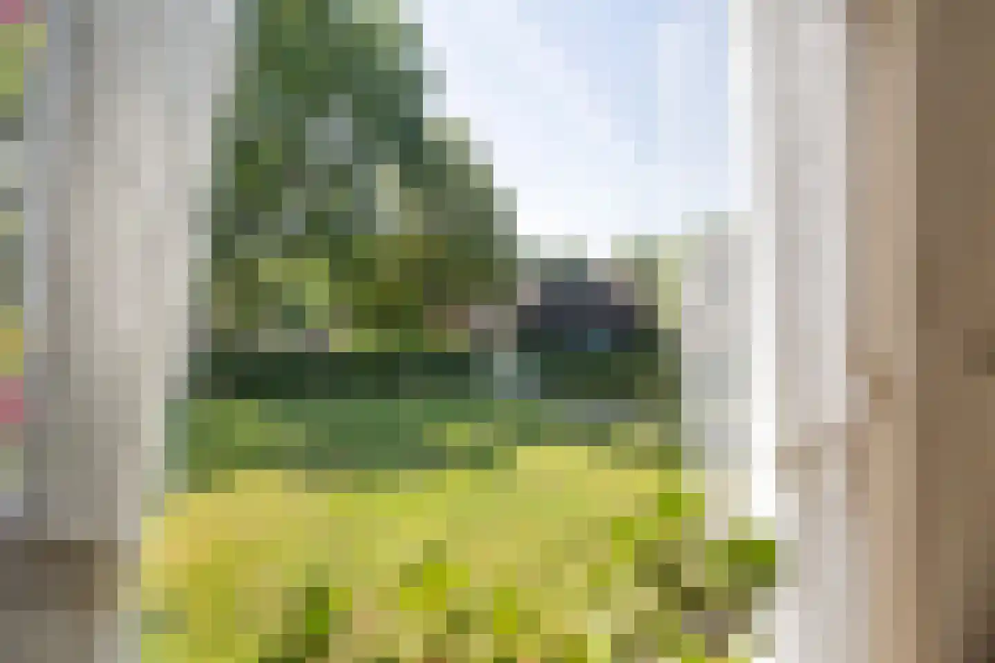 Burg de Kockstraat 15 Oosterhesselen thumbnail 17