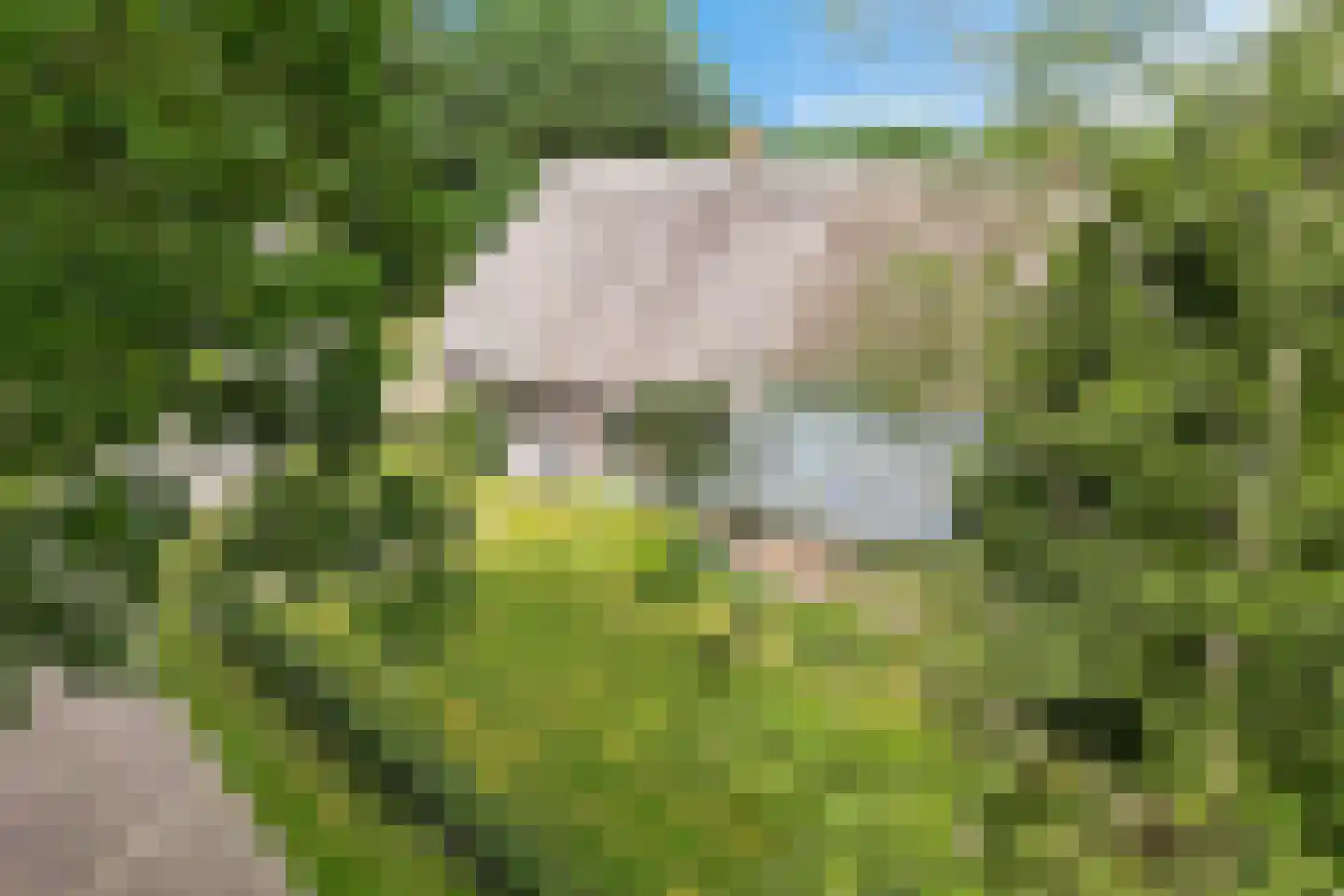 Burg de Kockstraat 15 Oosterhesselen thumbnail 4