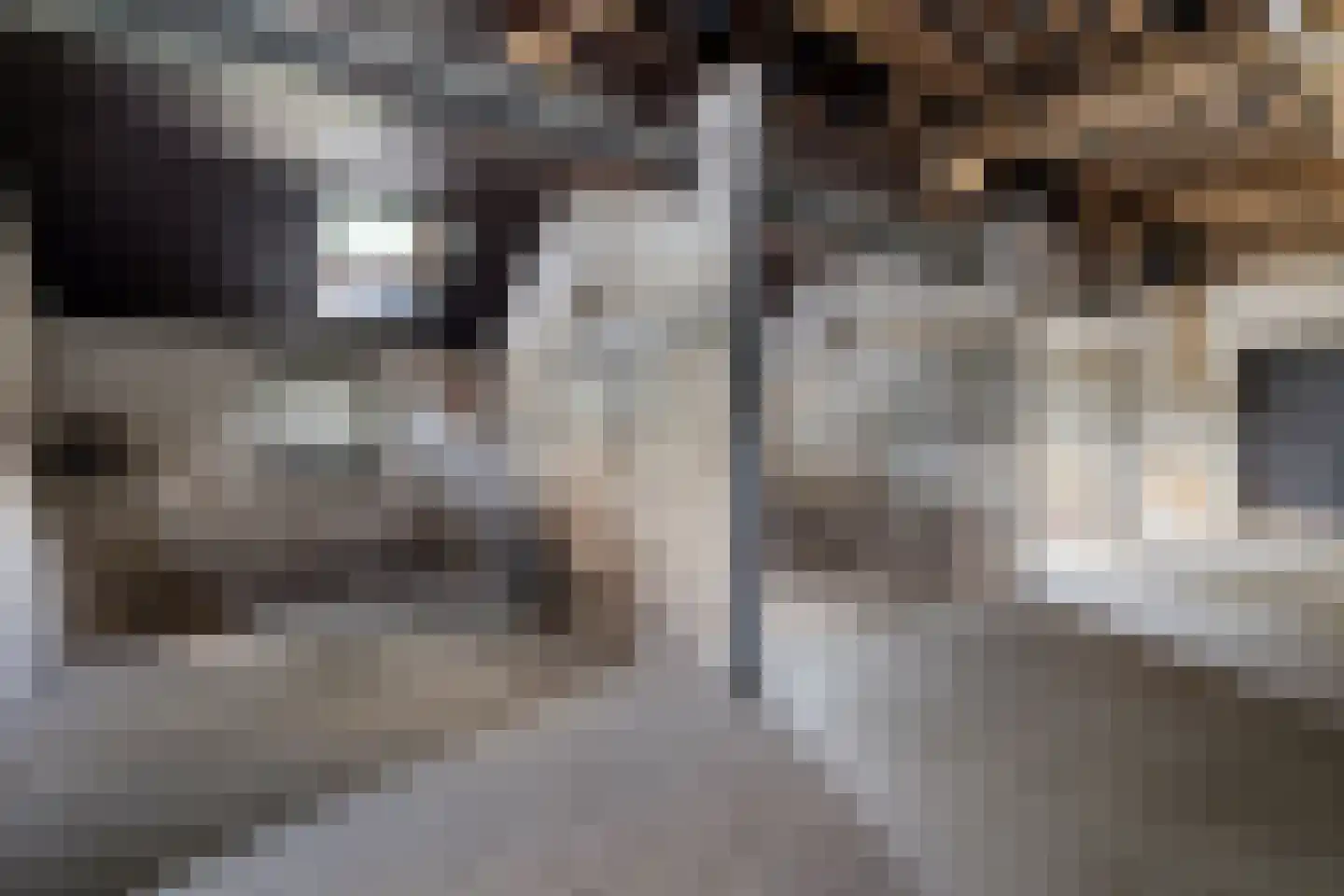 Burg de Kockstraat 15 Oosterhesselen thumbnail 40