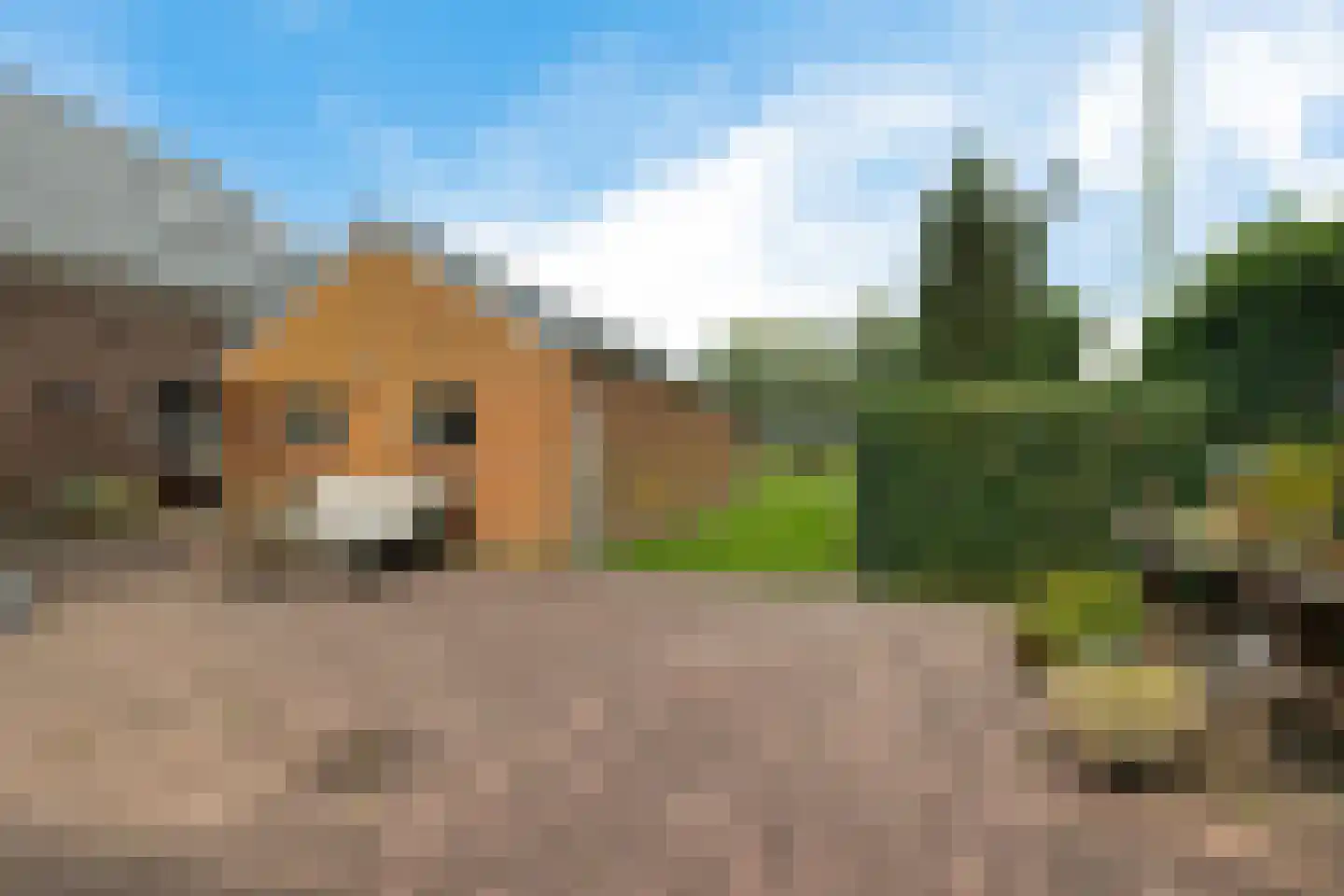Burg de Kockstraat 19 Oosterhesselen thumbnail 33
