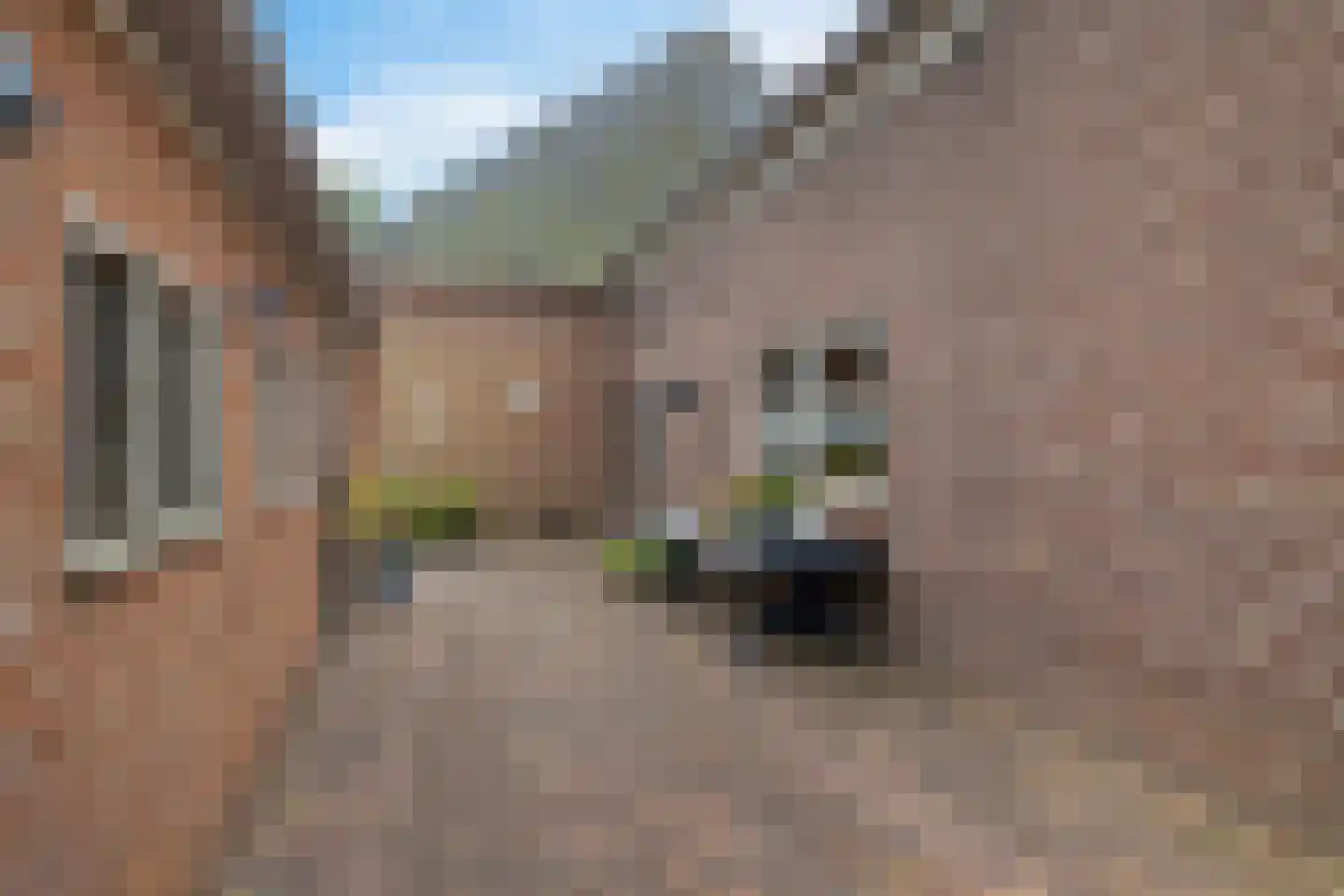 Burg de Kockstraat 19 Oosterhesselen thumbnail 36