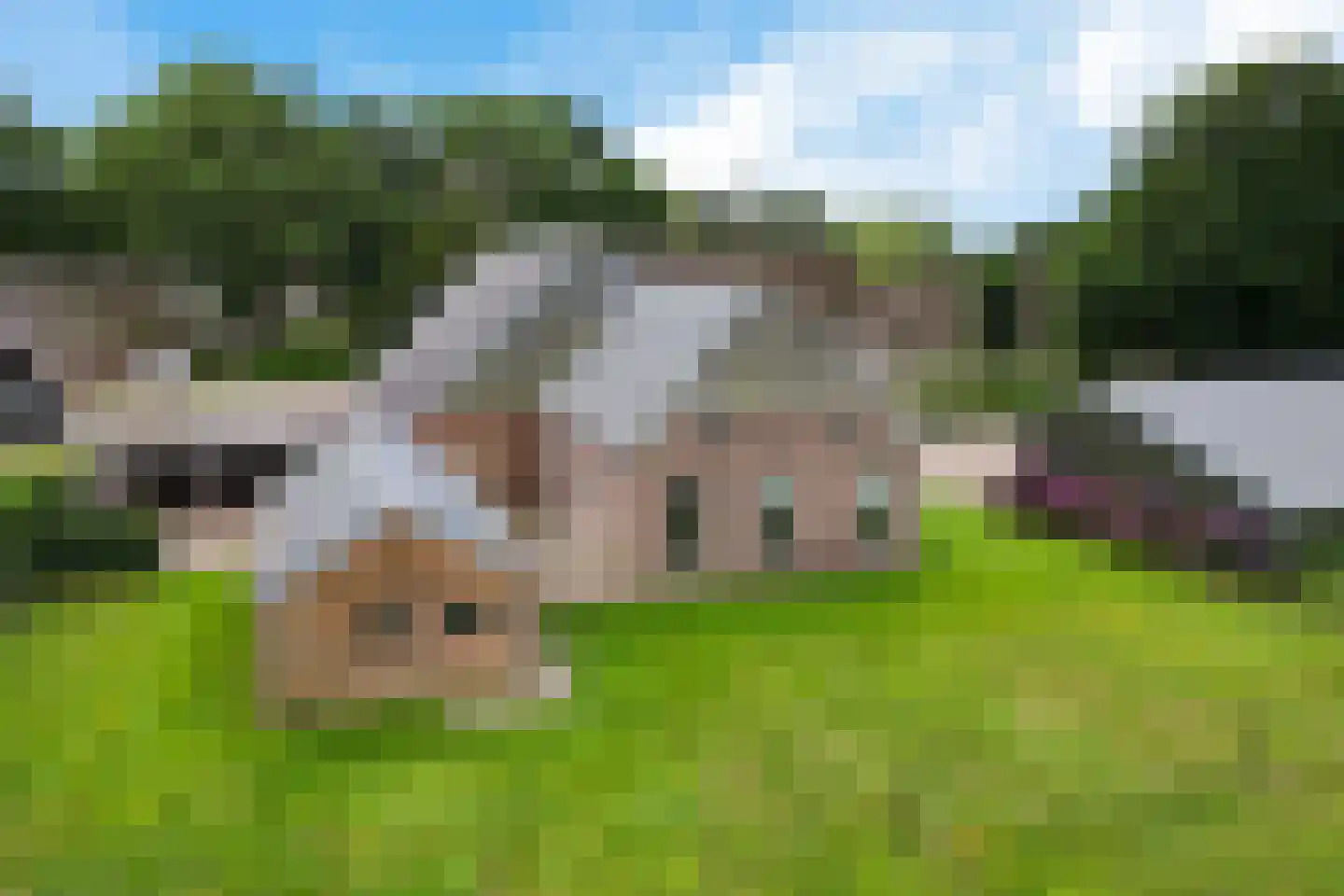 Burg de Kockstraat 19 Oosterhesselen thumbnail 48
