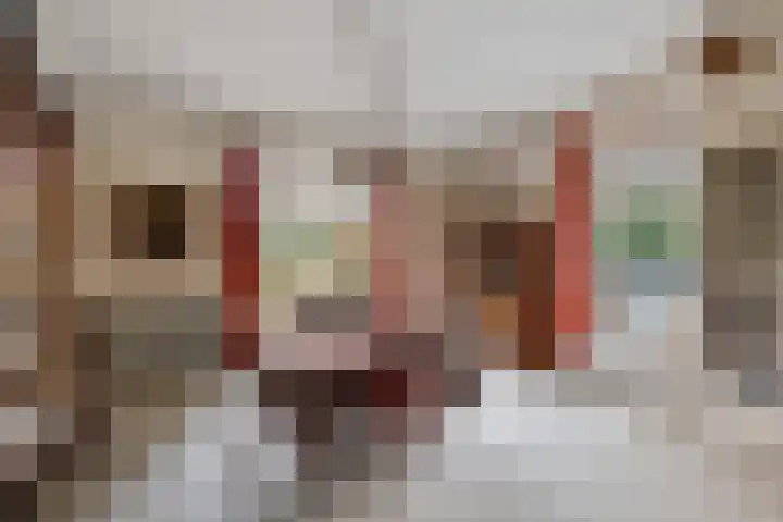 Burg de Kockstraat 45 Oosterhesselen thumbnail 17