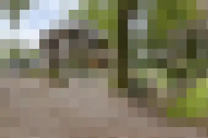 Burg de Kockstraat 45 Oosterhesselen thumbnail 5