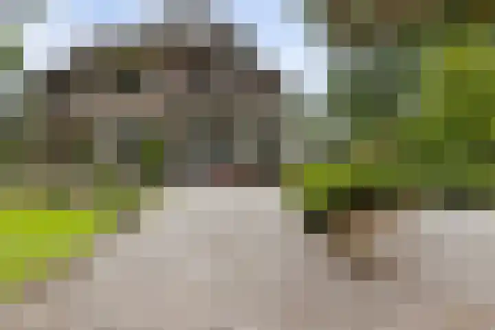 Burg de Kockstraat 45 Oosterhesselen thumbnail 9