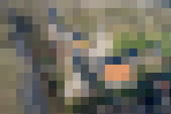 Burg de Kockstraat 51 Oosterhesselen thumbnail 7