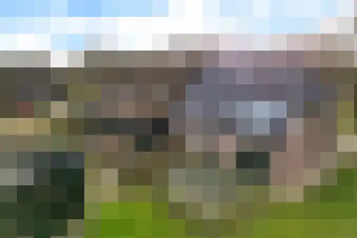 Burg de Kockstraat 57 a in Oosterhesselen