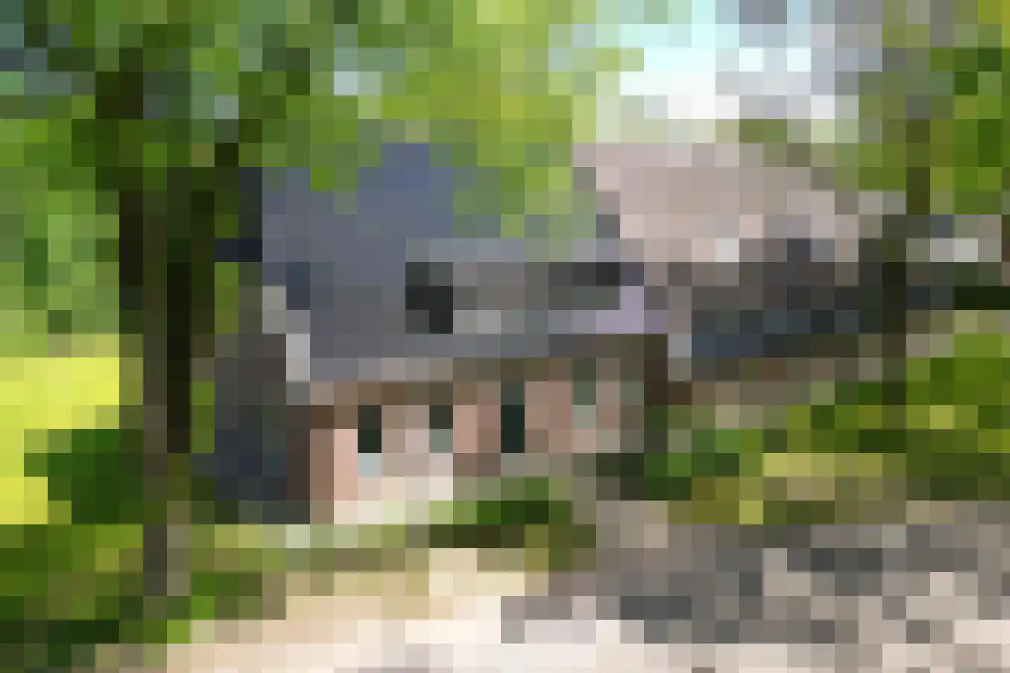Burg de Kockstraat 57 a Oosterhesselen thumbnail 50