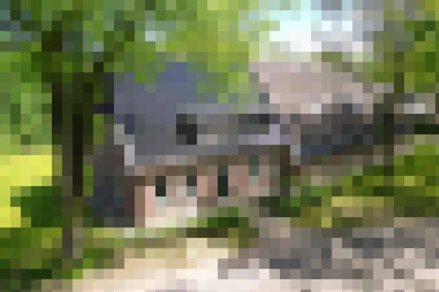 Burg de Kockstraat 57 a Oosterhesselen thumbnail 51