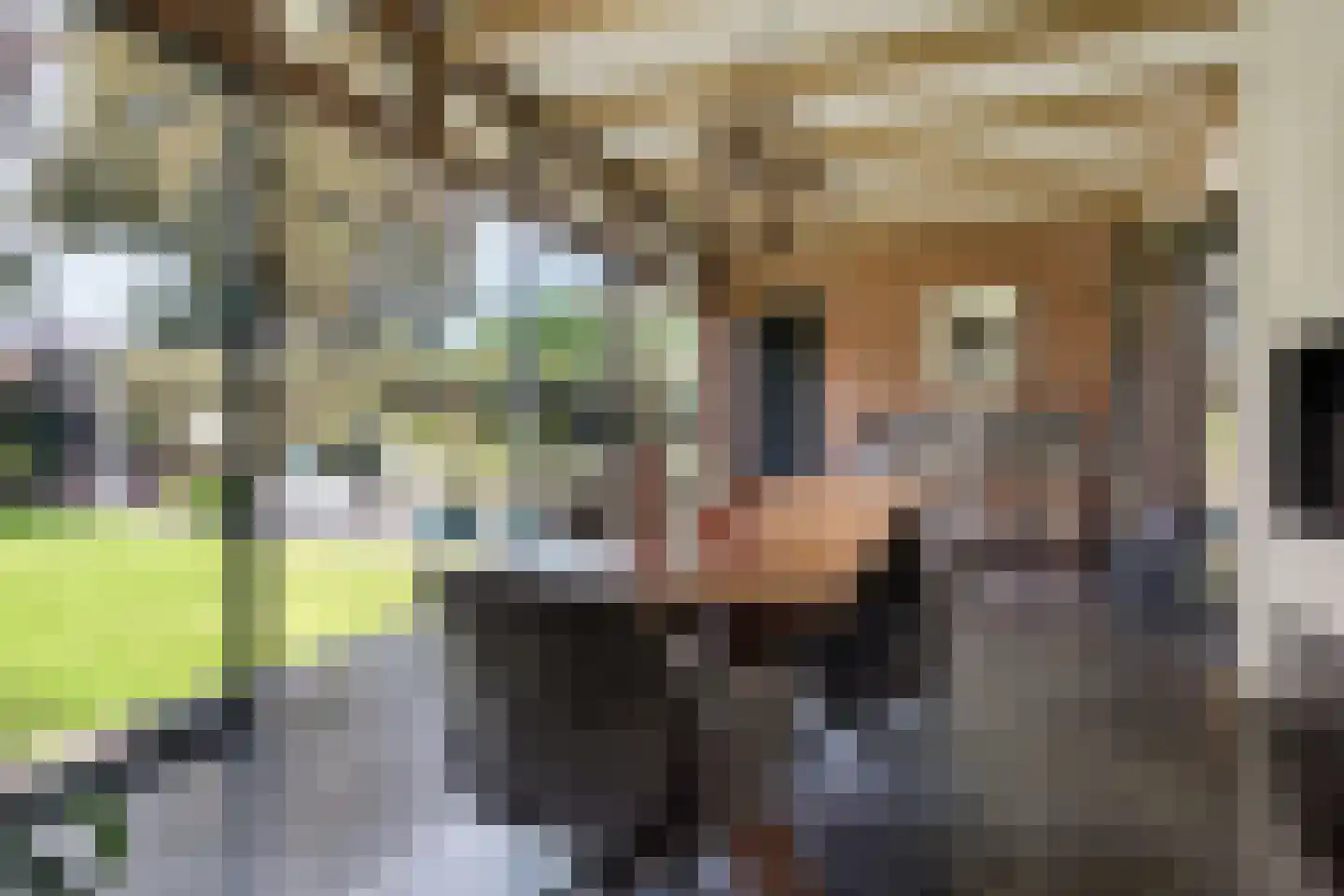 Burg. de Kuijperlaan 14 Veghel thumbnail 10