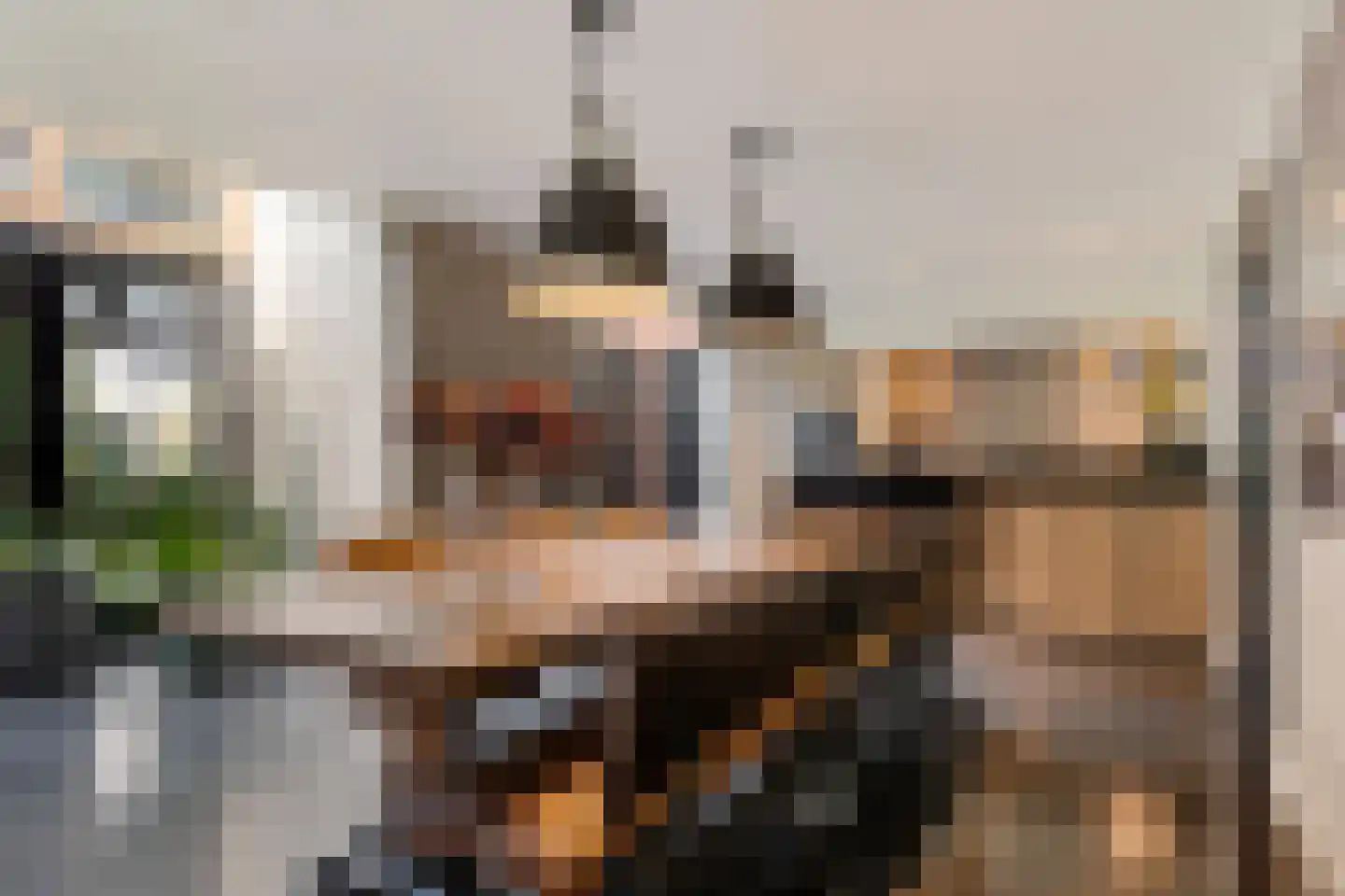 Burg. de Kuijperlaan 14 Veghel thumbnail 12