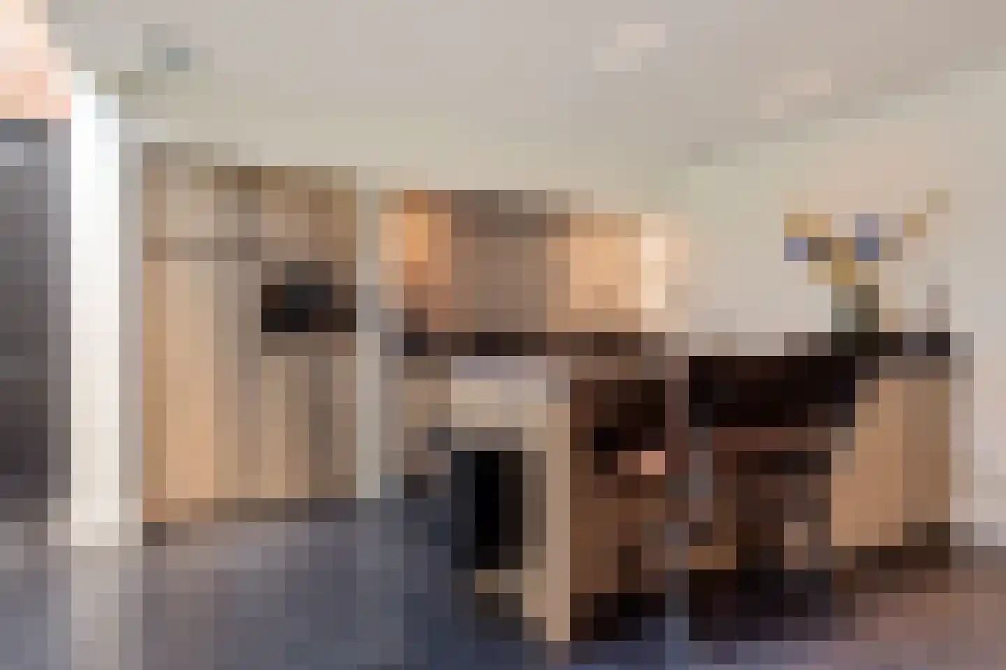 Burg. de Kuijperlaan 14 Veghel thumbnail 13