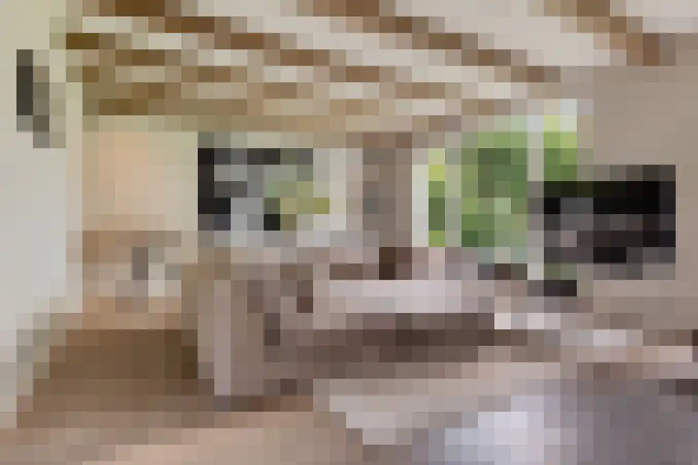 Burg. de Kuijperlaan 14 Veghel thumbnail 15
