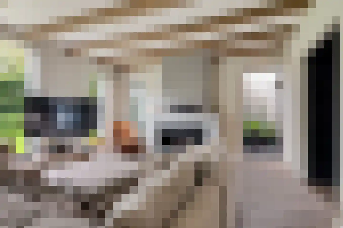Burg. de Kuijperlaan 14 Veghel thumbnail 16