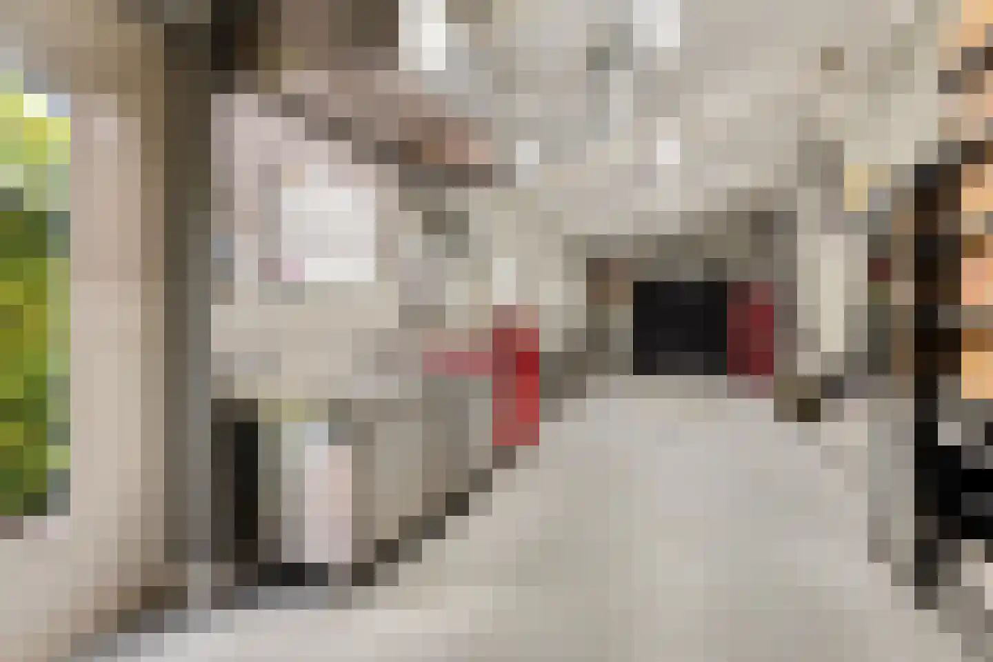 Burg. de Kuijperlaan 14 Veghel thumbnail 19