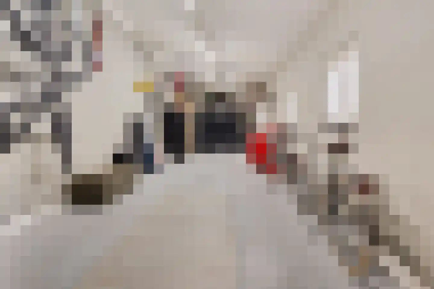 Burg. de Kuijperlaan 14 Veghel thumbnail 20