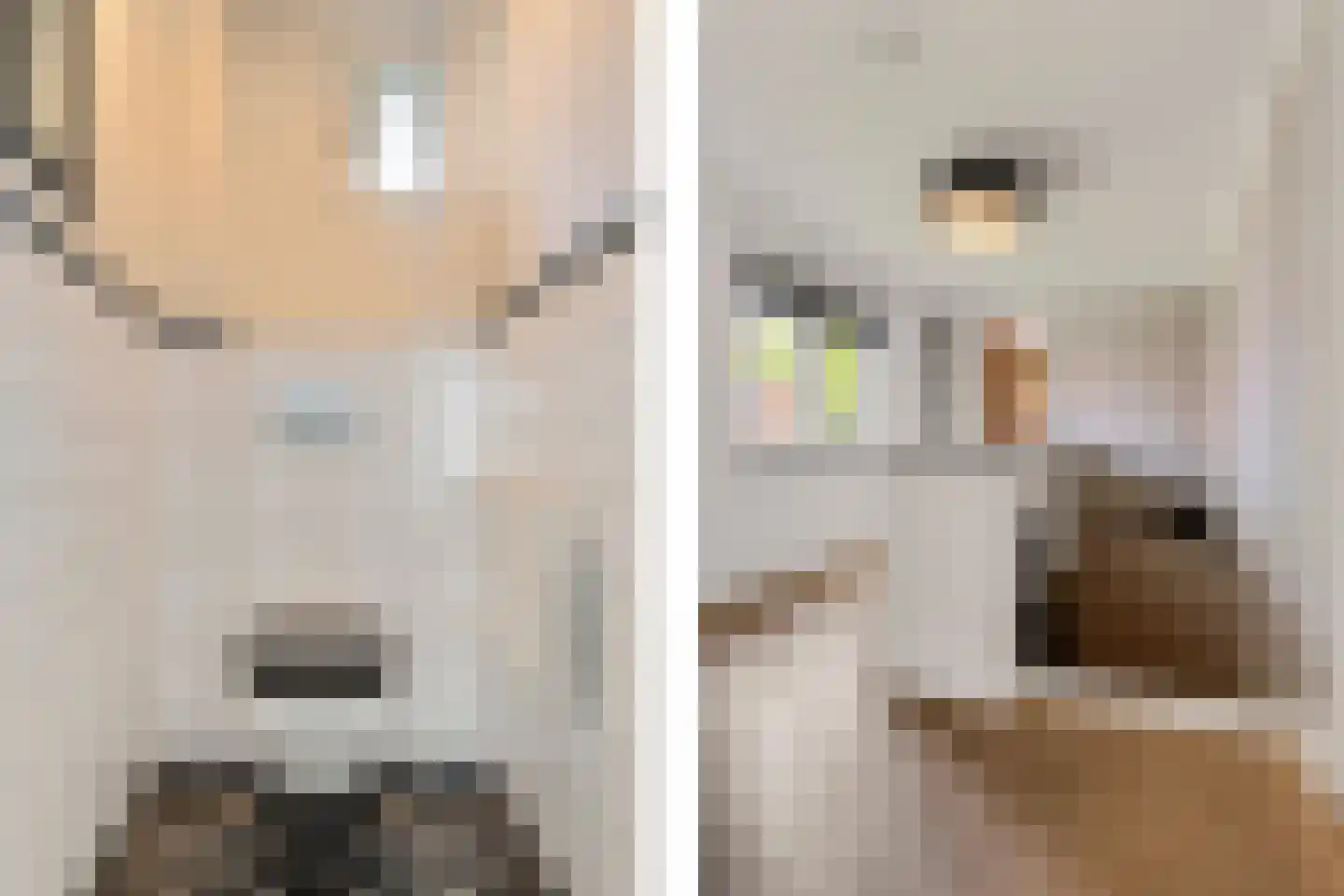 Burg. de Kuijperlaan 14 Veghel thumbnail 25