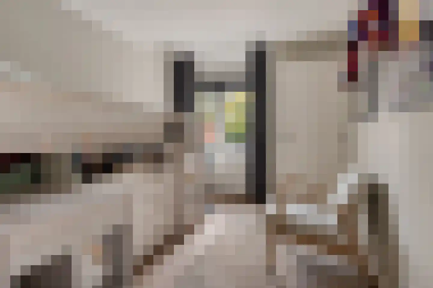 Burg. de Kuijperlaan 14 Veghel thumbnail 26