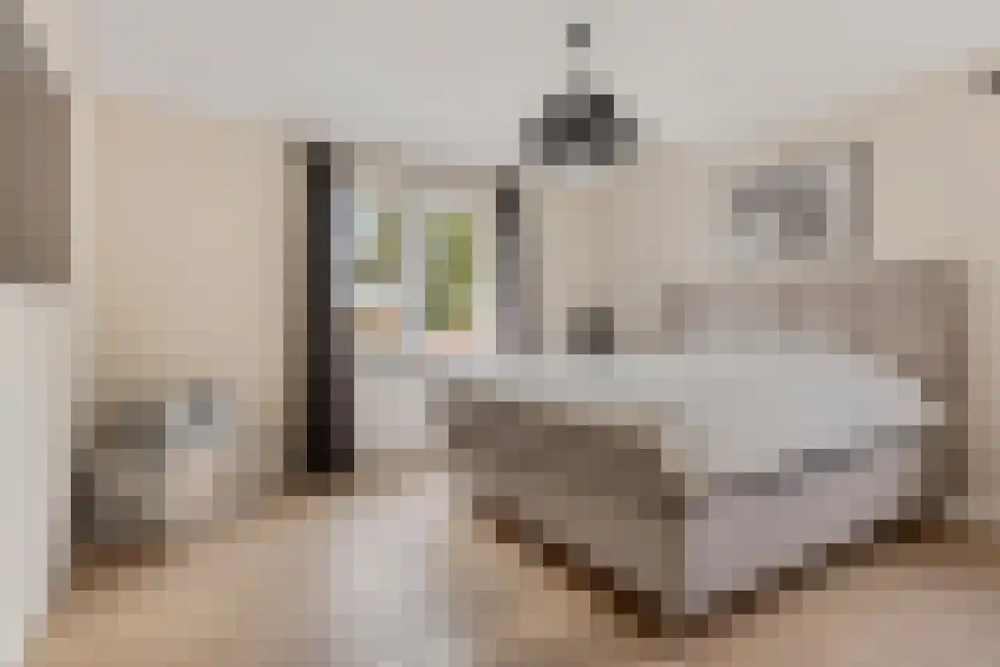Burg. de Kuijperlaan 14 Veghel thumbnail 27