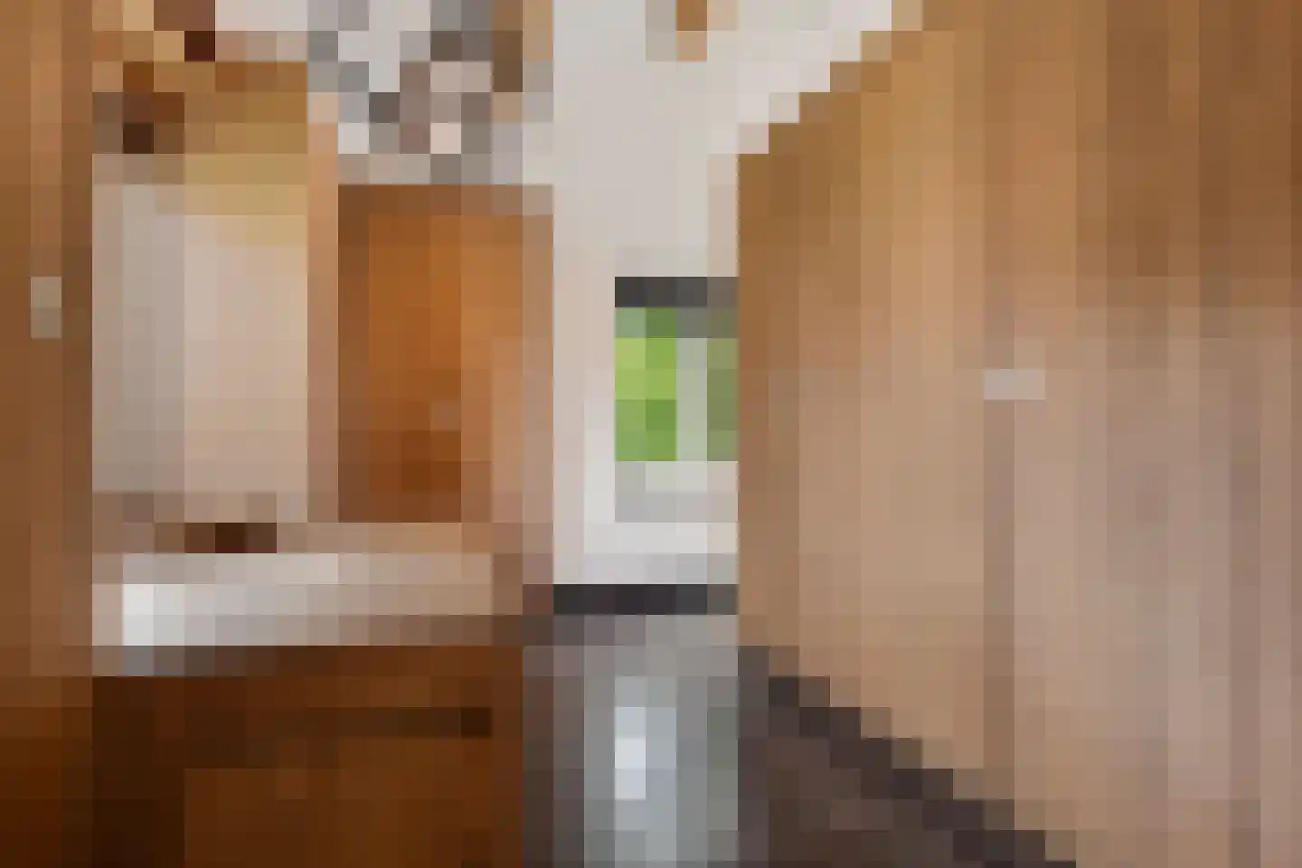 Burg. de Kuijperlaan 14 Veghel thumbnail 30