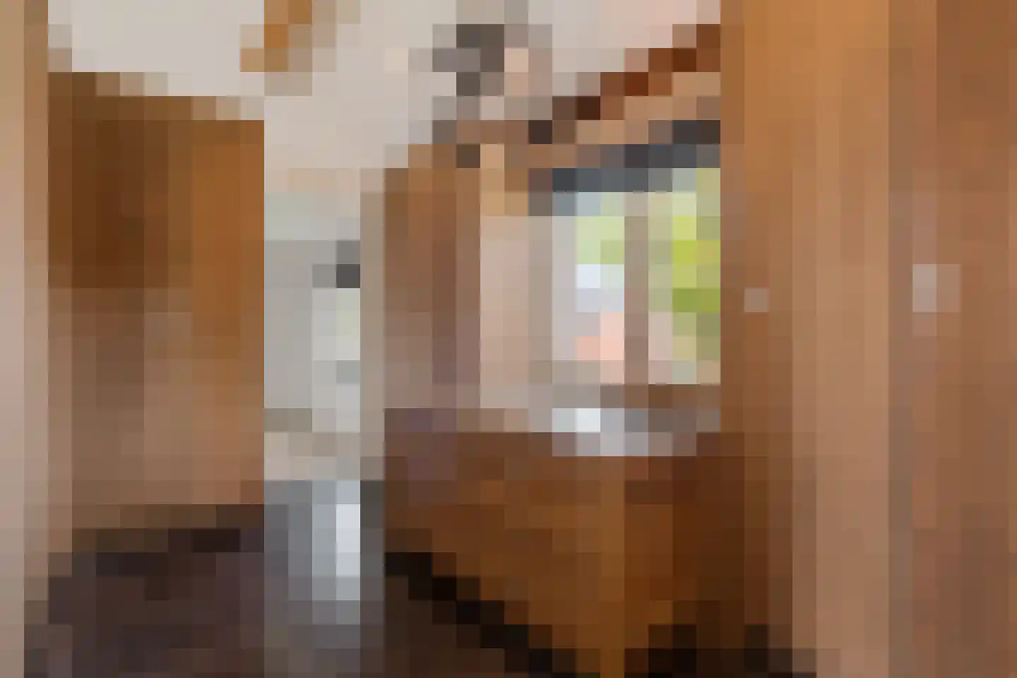 Burg. de Kuijperlaan 14 Veghel thumbnail 31