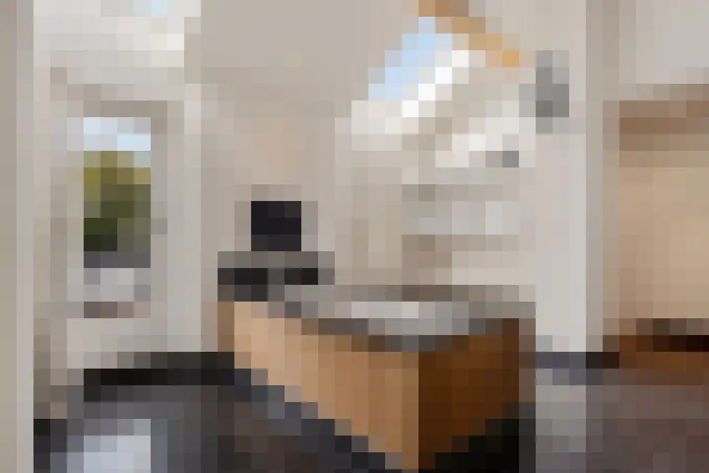 Burg. de Kuijperlaan 14 Veghel thumbnail 32