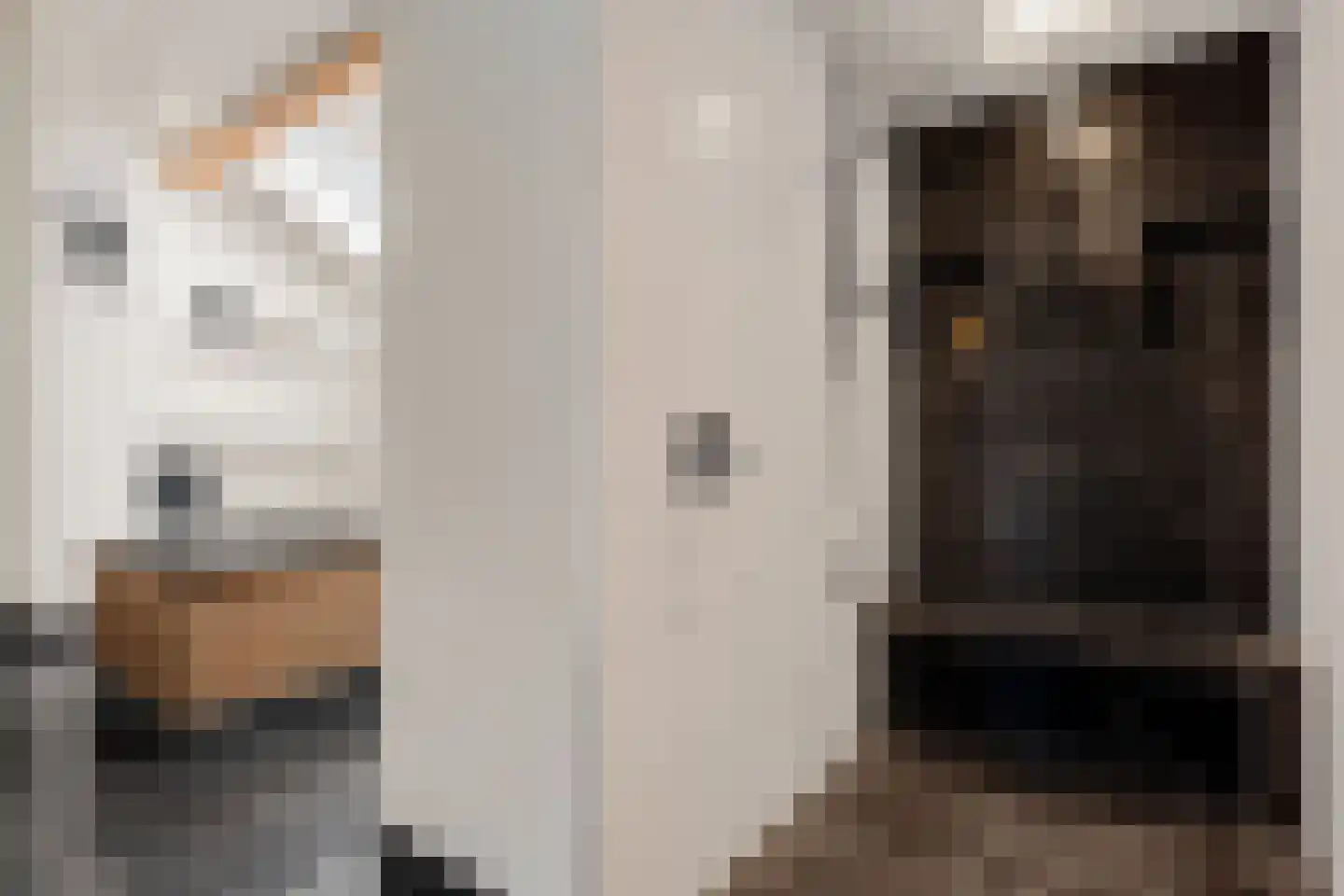Burg. de Kuijperlaan 14 Veghel thumbnail 34
