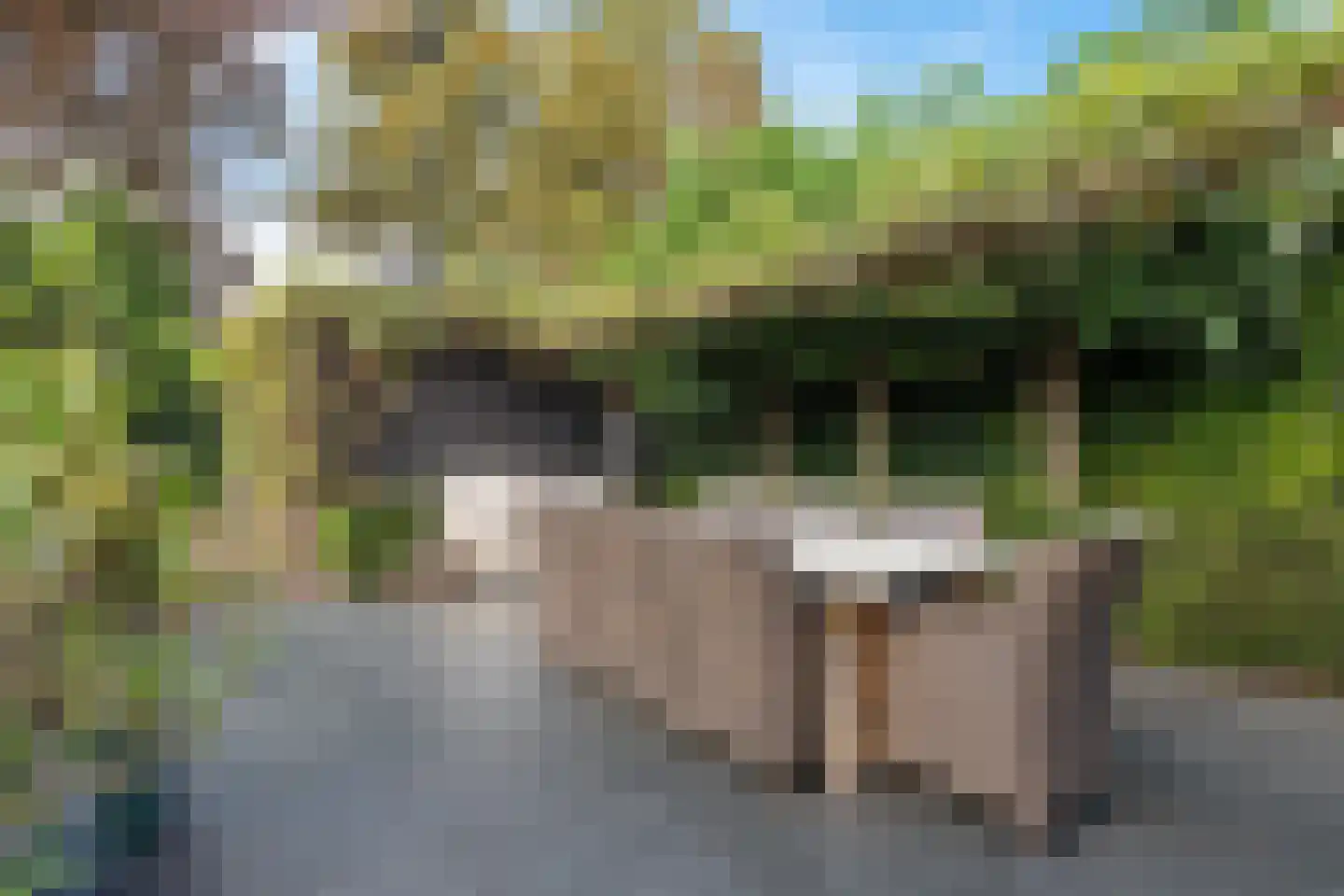 Burg. de Kuijperlaan 14 Veghel thumbnail 44