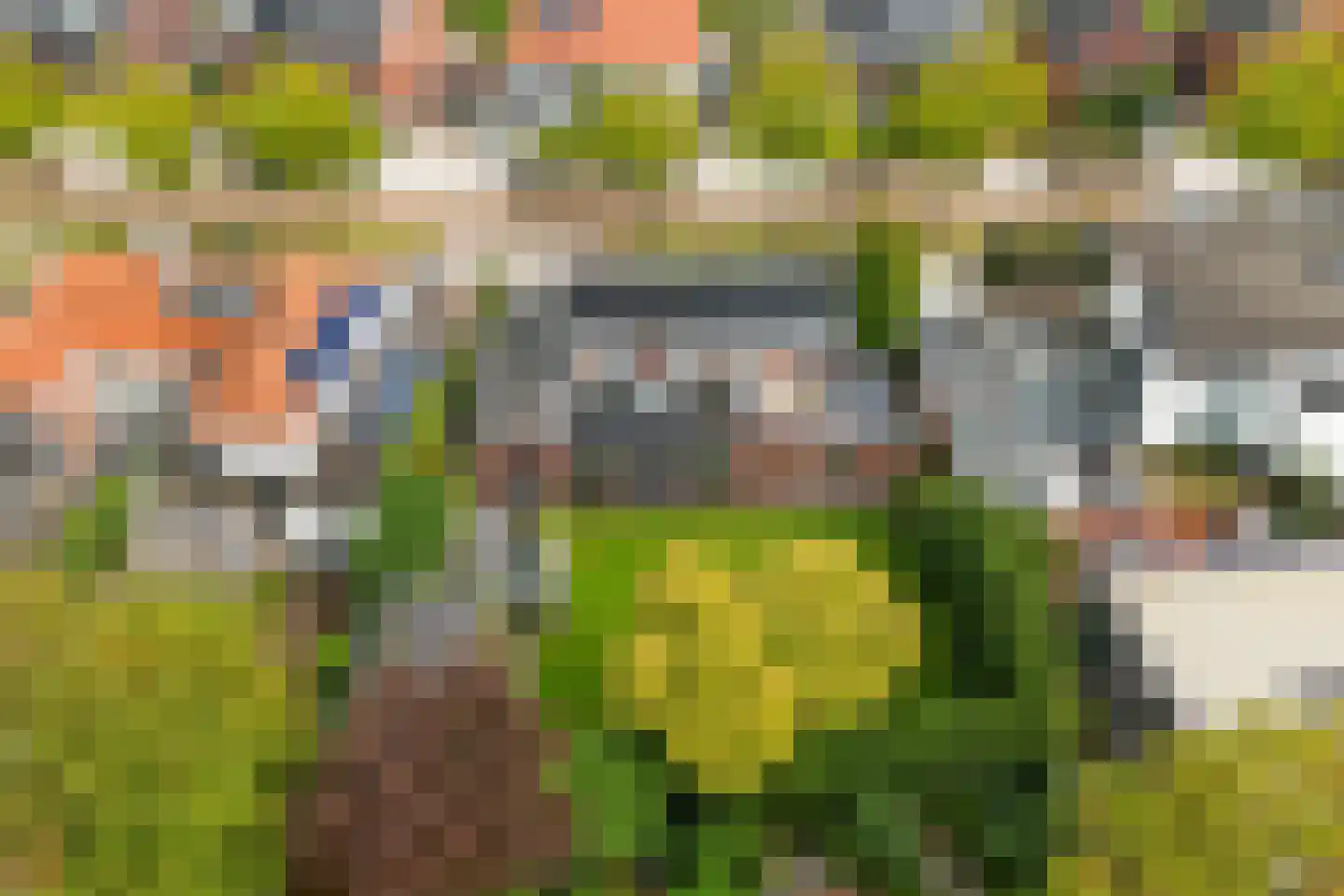 Burg. de Kuijperlaan 14 Veghel thumbnail 48