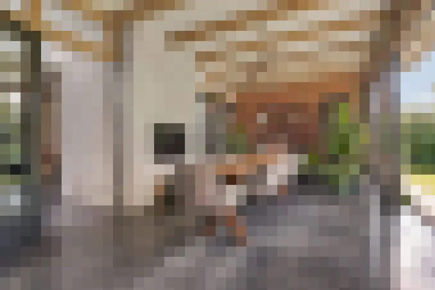 Burg. de Kuijperlaan 14 Veghel thumbnail 9