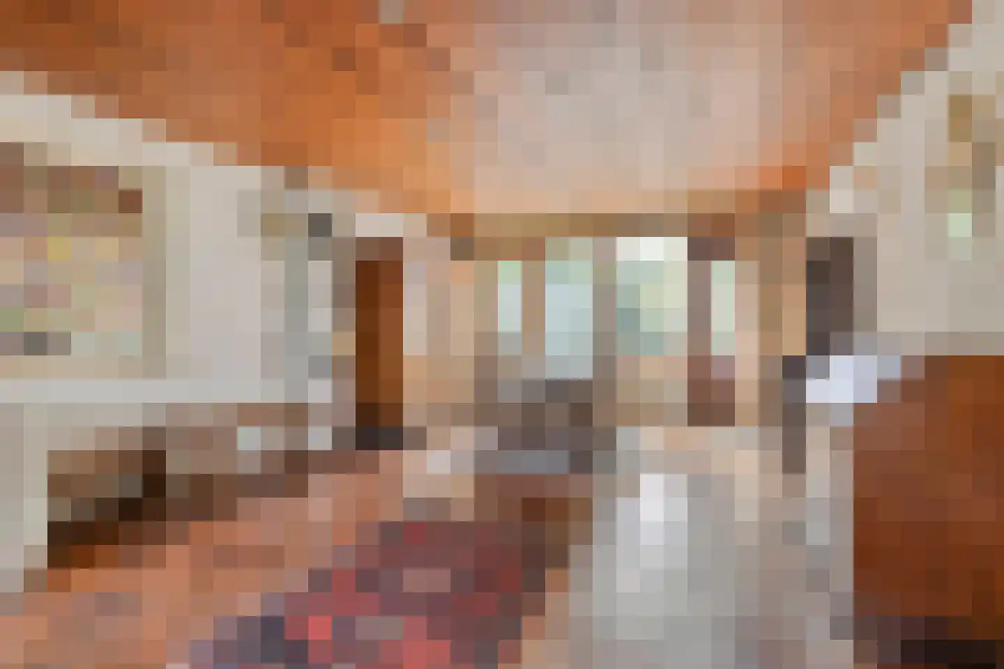 Burg. de Kuijperlaan 20 Veghel thumbnail 12